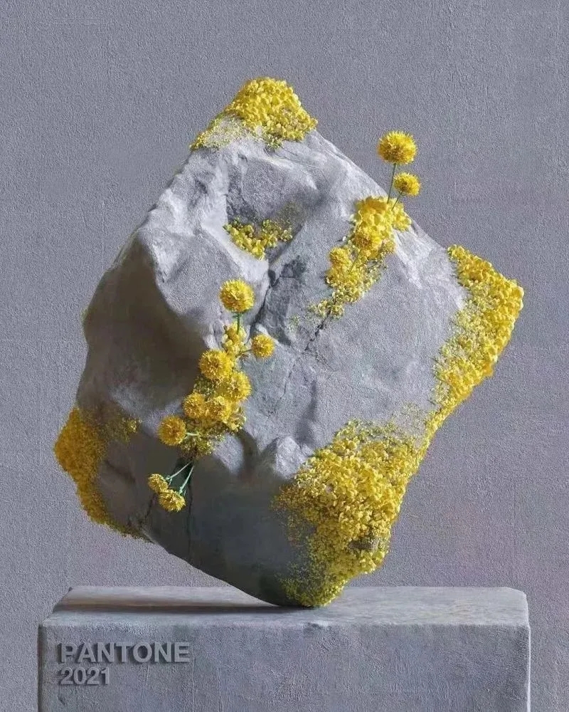 1671173372890309.jpg 1.jpg